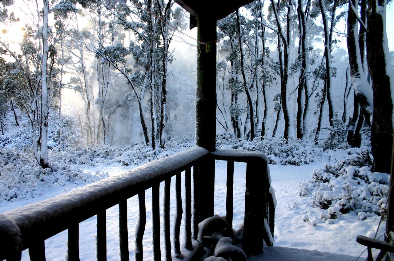 Wombat Cabin Villa Moina Dış mekan fotoğraf