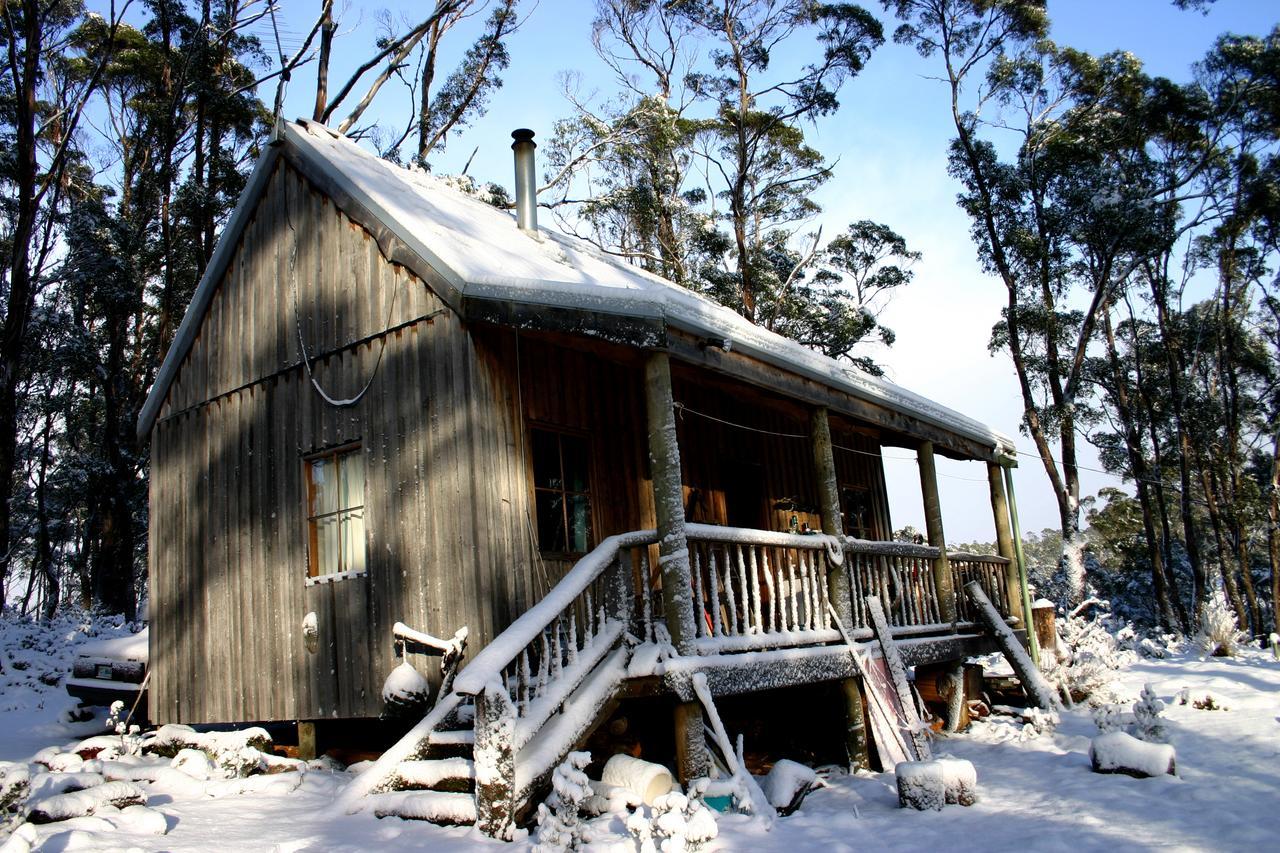 Wombat Cabin Villa Moina Dış mekan fotoğraf