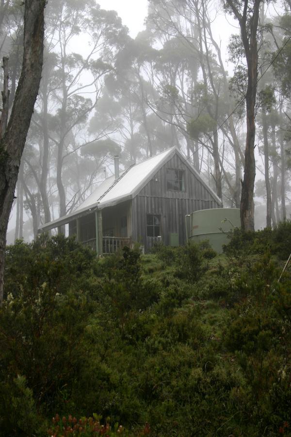 Wombat Cabin Villa Moina Dış mekan fotoğraf