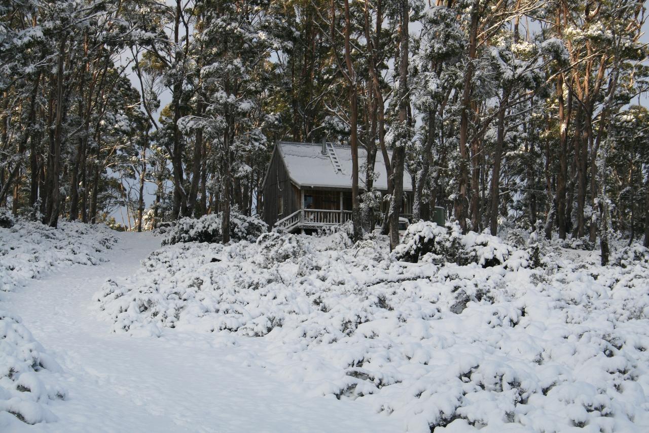 Wombat Cabin Villa Moina Dış mekan fotoğraf
